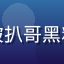 读者真相追寻者头像，被扒哥黑料深度内容折服的新读者